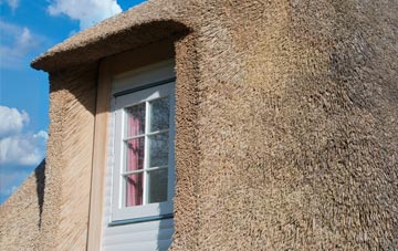 Cad Green thatch roof disadvantages